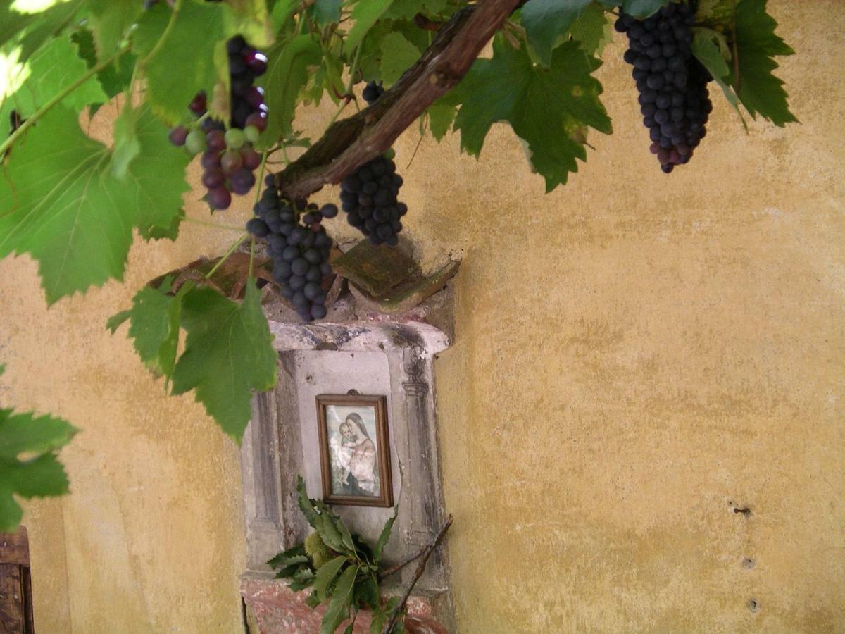 Casa 1659 - Casa Parrucchiere Villa Gandria Buitenkant foto
